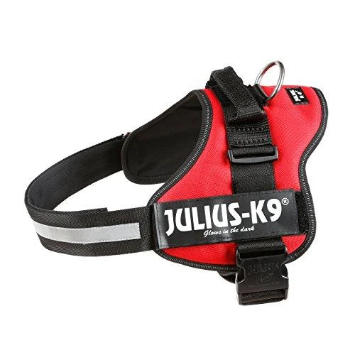 Trixie Petnešos Julius-K9, 2/L–XL: 71–96 cm, raudonos sp.