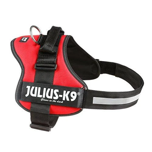 Trixie Petnešos Julius-K9, 2/L–XL: 71–96 cm, raudonos sp.