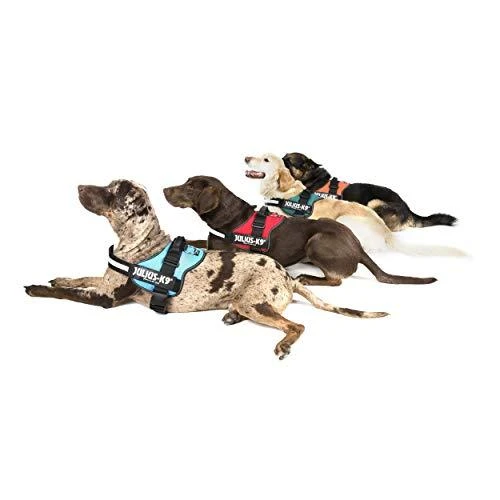 Trixie Petnešos Julius-K9, 2/L–XL: 71–96 cm, raudonos sp.