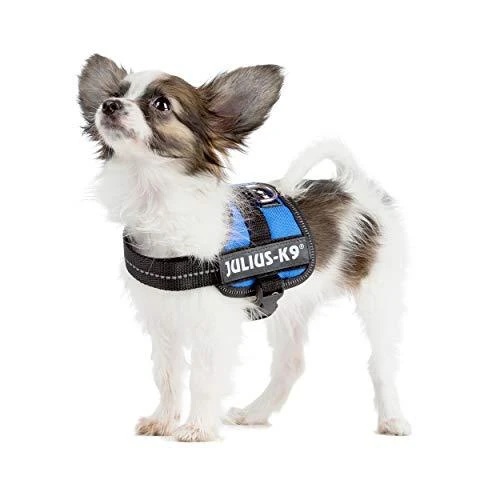 Trixie Julius-K9 diržai, Baby 1 / XS: 30–40 cm, mėlyni