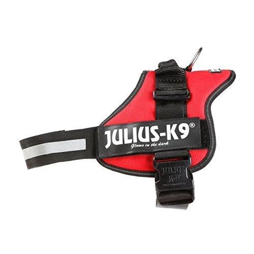 Trixie Petnešos Julius-K9, 2/L–XL: 71–96 cm, raudonos sp.