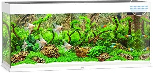 Juwel Rio 240 LED Baltas (VIETOJE)