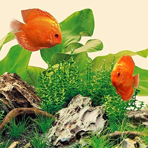 JUWEL LED NATURE 590 mm/11 W