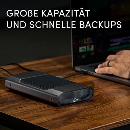 Western Digital SANDISK Professional G-DRIVE 12TB 3,5 colio USB-C 5Gbps USB 3.1 Enterprise-Class darbalaukio kietasis diskas - Kosminė pilka