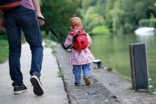 Vaikiška kuprinė-boružėlė Littlelife Toddler Kuprinė Ladybird