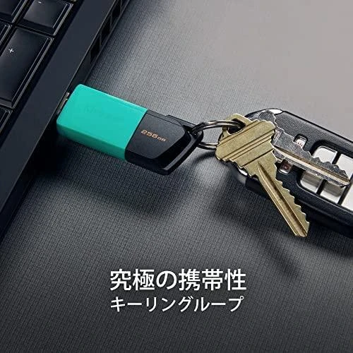 USB laikmena Kingston DataTraveler Exodia M, 256GB