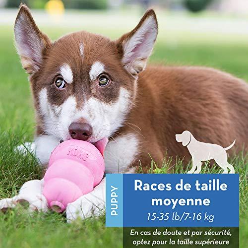 KONG Puppy guminis žaislas šuniukams, M
