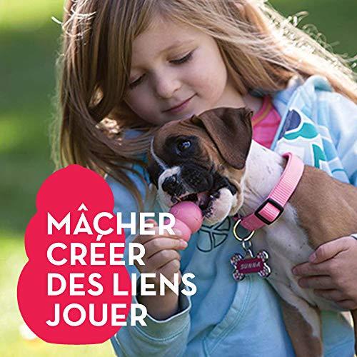 KONG Puppy guminis žaislas šuniukams, M
