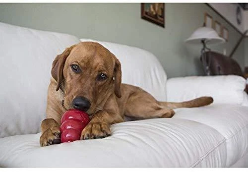 KONG Easy Treat Large bekono ir sūrio skonio skanėstai šunims 300g