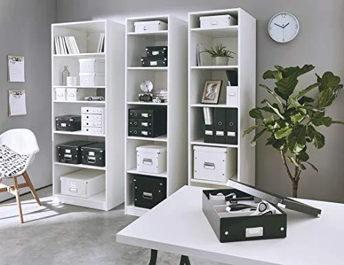 Leitz Spauskite & Parduotuvė skyriaus dėžutė (60570095)