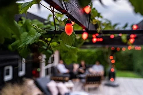 Lite bulb moments Smart Light Chain - Globe Cone