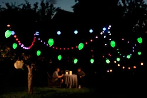 Lite bulb moments Smart Light Chain - Globe Cone