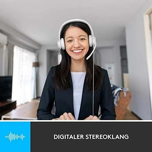 Ausinės Logitech H390, su laidu, Baltos