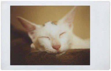 Lomography Lomo'Instant Automat - Bora Bora Baltas