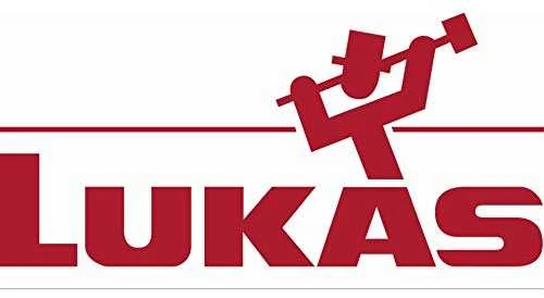Lukas Erzett LUKAS ŠLIFAVIMO GALVUTĖ SU KOTELIU, RINKINYS 5 vnt. EKR PLIENUI
