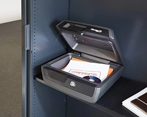 Master Lock Didelis lagaminėlis, atsparus ugniai, vandeniui LCFW30100