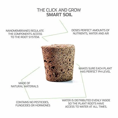 Click and Grow 3 vnt. papildymas - vaistinės melisos sėklos (lemon balm)