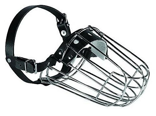 Dino metalinis antsnukis dobermanui