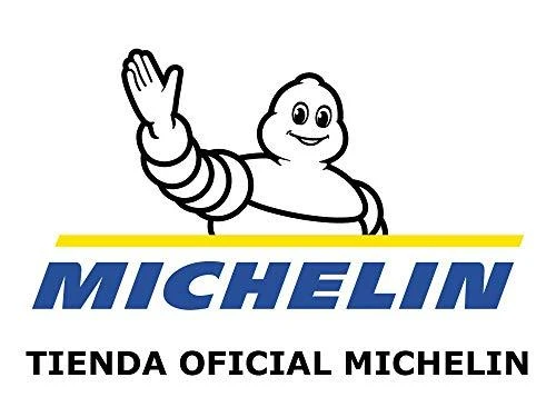Michelin Padangos Anakee Adventure R TL/TT 72V