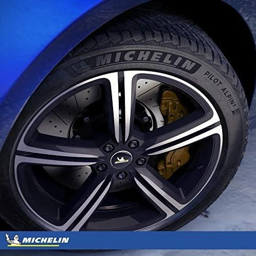 Michelin Padangos Pilot Alpin 5 104 V XL (C B A 71dB)