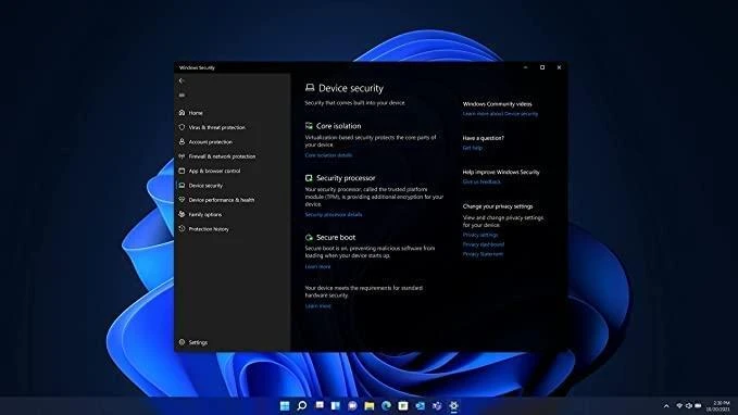 Operacinės sistemos Microsoft Windows 11 Pro, 64 bitų, Angliška versija, USB