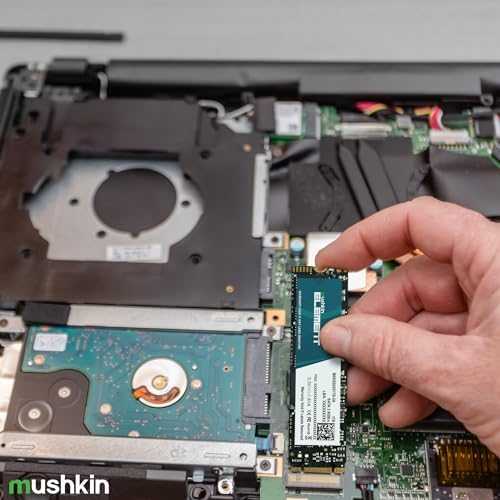 Mushkin Element NVMe SSD, PCIe 3.0 M.2 Typ 2280 – 1 TB