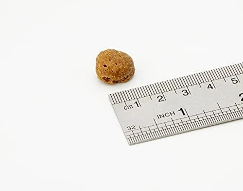 Natural Trainer MEDIUM ADULT su kumpiu 12kg
