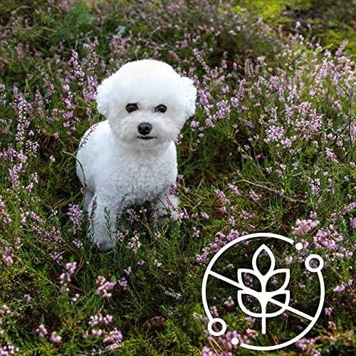 NATURE'S PROTECTION SUPERIOR CARE Baltas Dogs begrūdis su balta žuvimi Adult Small and Mini Breeds, suaugusių mažų ir labai mažų veislių šunų begrūdis sausas pašaras su balta žuvimi, 10 kg
