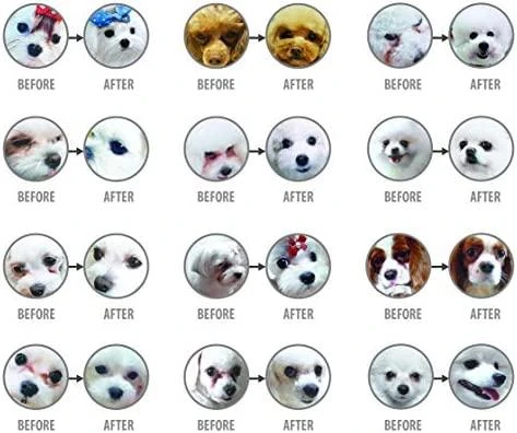 NATURE'S PROTECTION SUPERIOR CARE Baltas Dogs begrūdis su balta žuvimi Adult Small and Mini Breeds, suaugusių mažų ir labai mažų veislių šunų begrūdis sausas pašaras su balta žuvimi, 10 kg