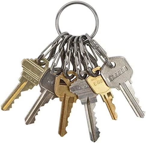 „Nite-Ize KeyRing+“ 6 x nerūdijančio plieno mikrokarabinai (KRGS-11-R3)