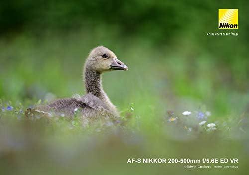 Objektyvas Nikon AF-S NIKKOR 200-500mm f/5.6E ED VR