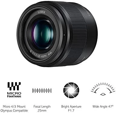PANASONIC H-H025E-K Objektyvas