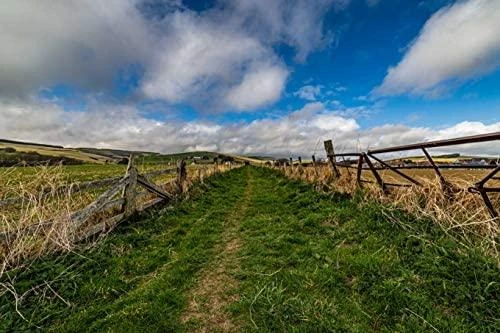 Objektyvas Samyang MF 14mm f/2.8 MK2 Sony E