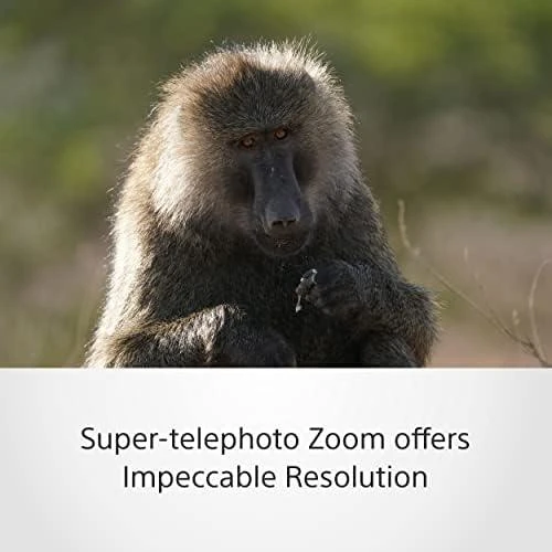 Sony FE 200–600 MM F5.6–6.3 G OSS MILC Priartinimo teleobjektyvas Balta