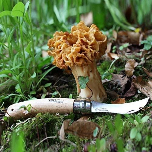 Opinel Nr. 8 peilis grybavimui