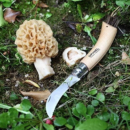 Opinel Nr. 8 peilis grybavimui