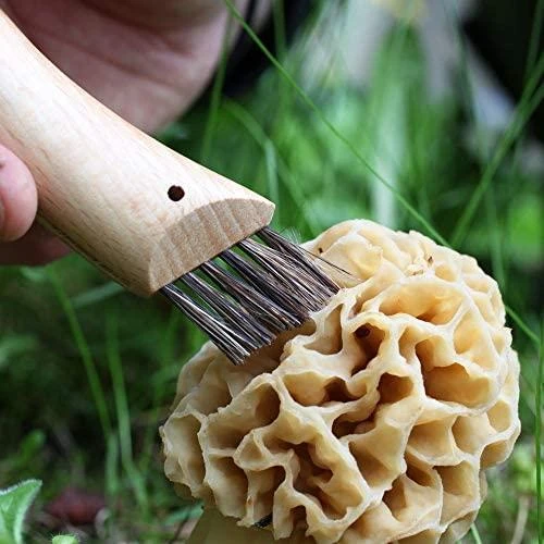 Opinel Nr. 8 peilis grybavimui