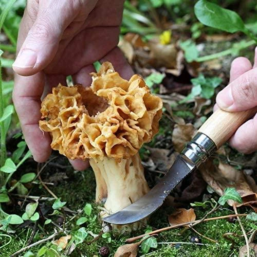 Opinel Nr. 8 peilis grybavimui