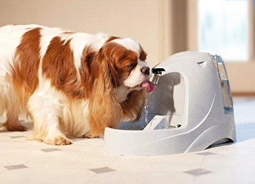 Petsafe Drinkwell Platinum 5L talpos girdykla – fontanas katėms ir šunims