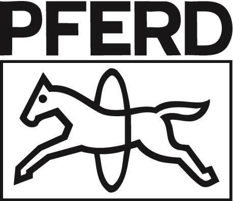 Šlifavimo ritinėlis PNZ 6050/6 PFERD A100