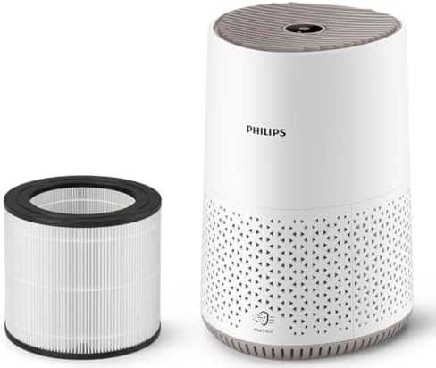 Oro valytuvas Philips 600i serija AC0650/10