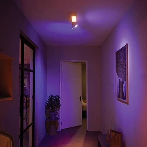 Lubinis šviestuvas Philips Hue Centris 2 taškų baltas specialios formos BT
