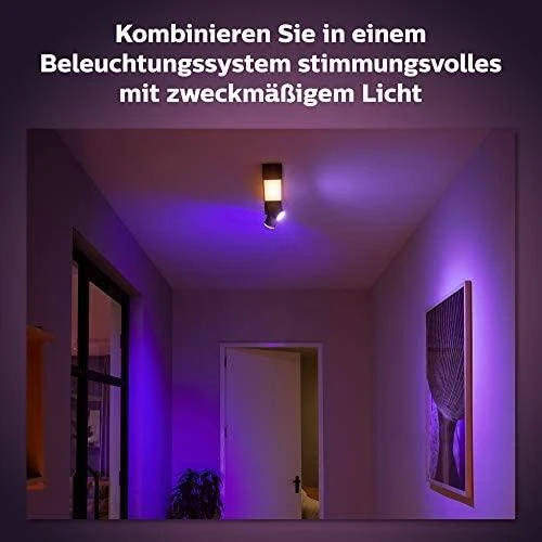 Lubinis šviestuvas Philips Hue Centris 2 taškų baltas specialios formos BT
