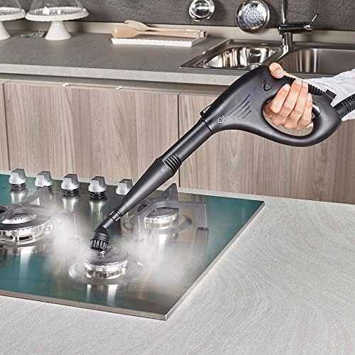 Garinis valytuvas Vaporetto Smart 30 R, POLTI Spa
