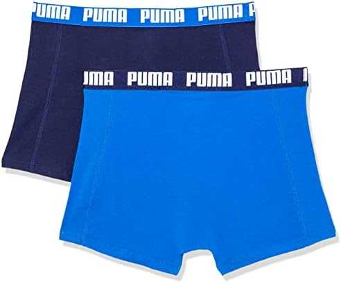 Dobotex Trumpikės vyrams Puma Basic Boxer 2P mėlyna 888869 60/521015001 420 (L)