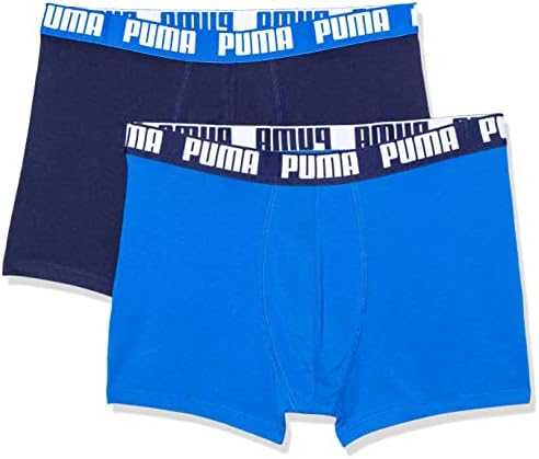 Dobotex Trumpikės vyrams Puma Basic Boxer 2P mėlyna 888869 60/521015001 420 (L)