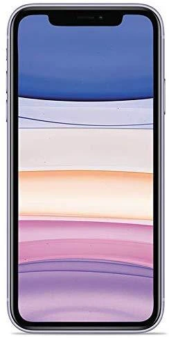 Dėklas Puro 0.3 Nude skirtas iPhone 11, skaidrus / IPCX611903NUDETR / 150708