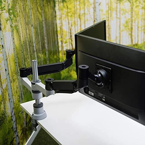 Laikiklis R-Go Tools R-Go Monitorarm 0"-32" 2TFT Max.9KG Caparo 4 Gasfeder sidabrinis