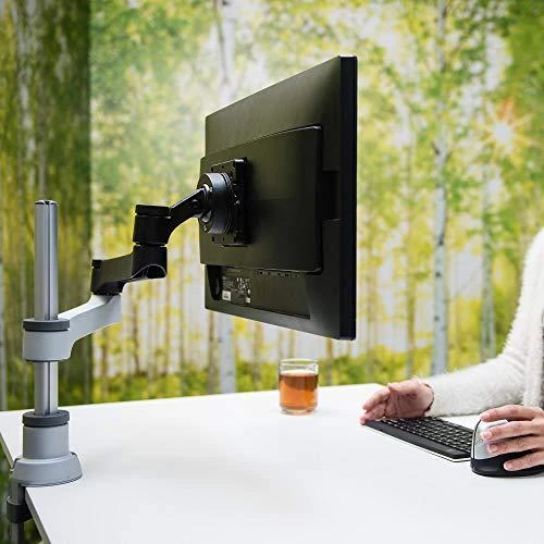 R-GO Tools Zepher 4 C2 monitoriaus darbastalio laikiklis (RGOVLZE4SI)