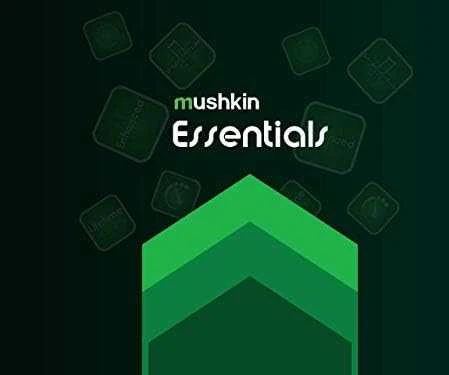 RAM Mushkin Essentials atminties modulis 32